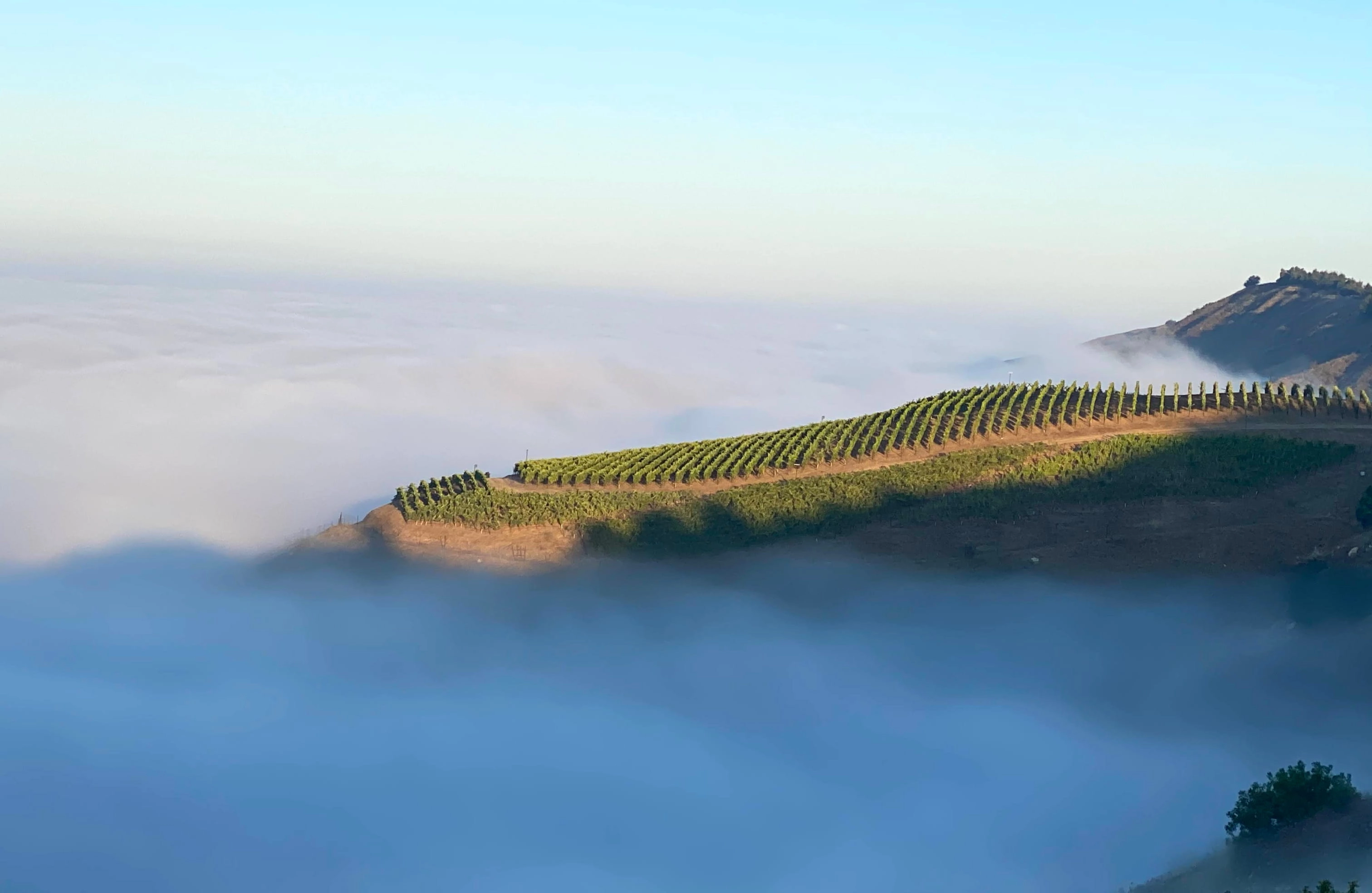Ojai Mountain Banner Photo