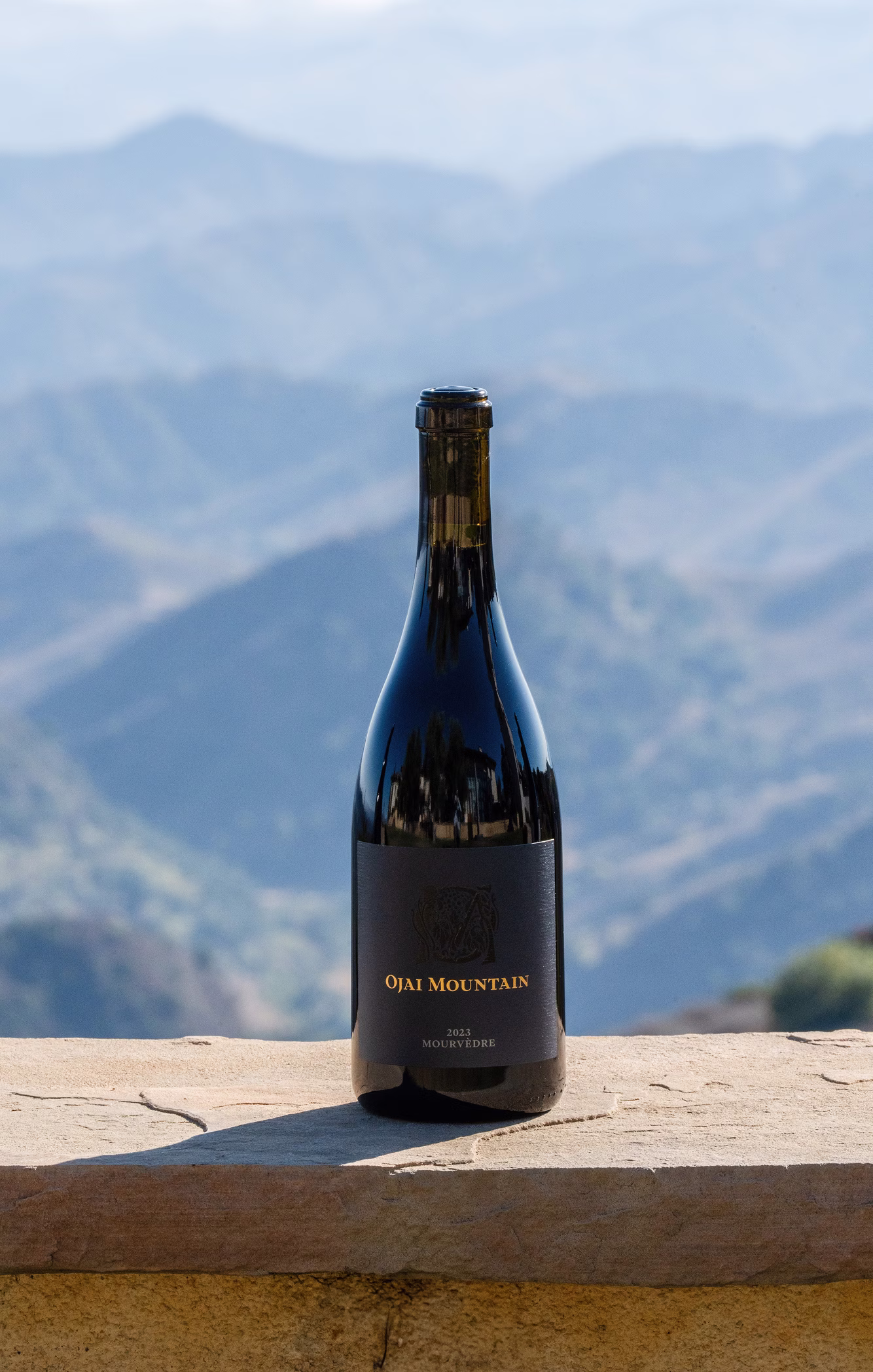 Vinous Icons 2026 event