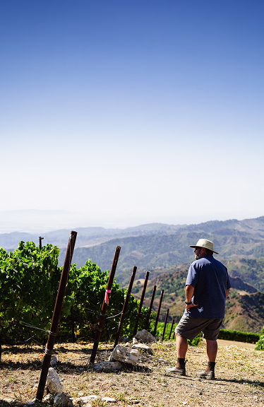Winemaking at Ojai Mountain Winemaking at Ojai Mountain