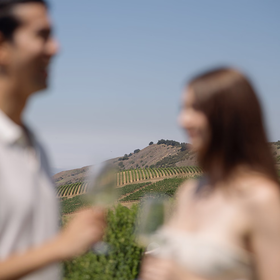 High-altitude coastal estate vineyard view at Ojai Mountain