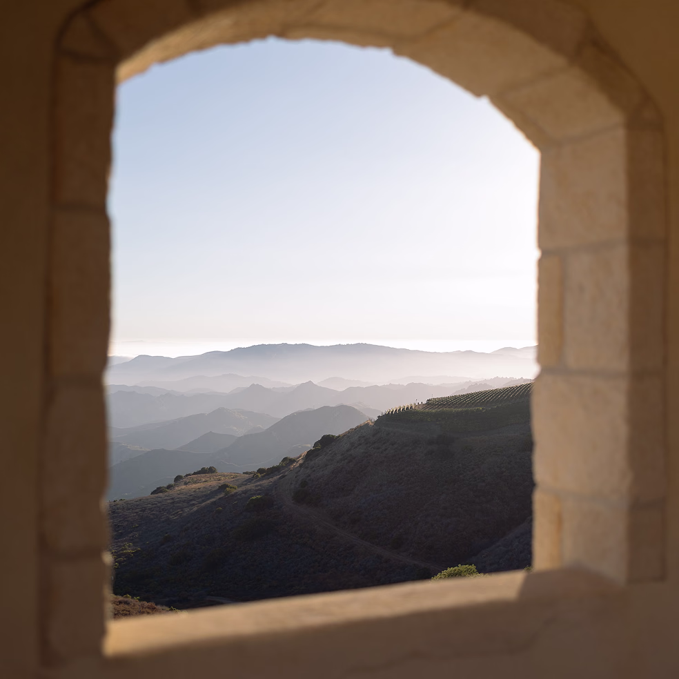 Mountain tasting scene above Ojai Valley