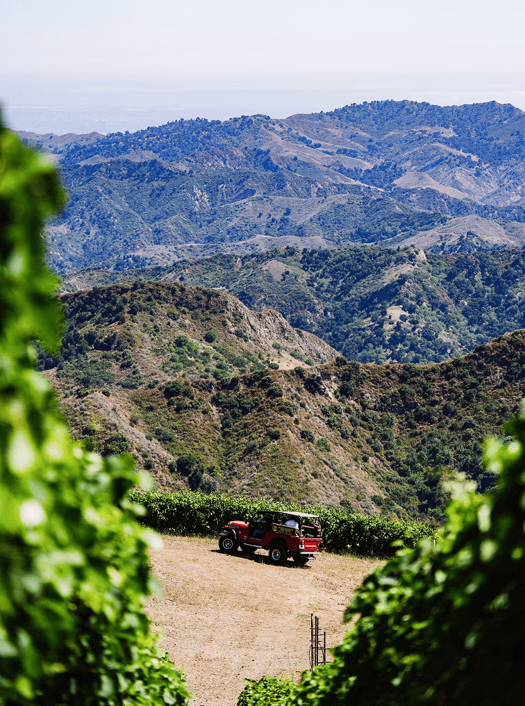 Reserving a private wine tasting at Ojai Mountain