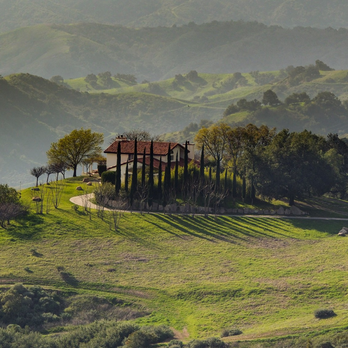 The Ridge villa on a green hillside lined with cypress trees