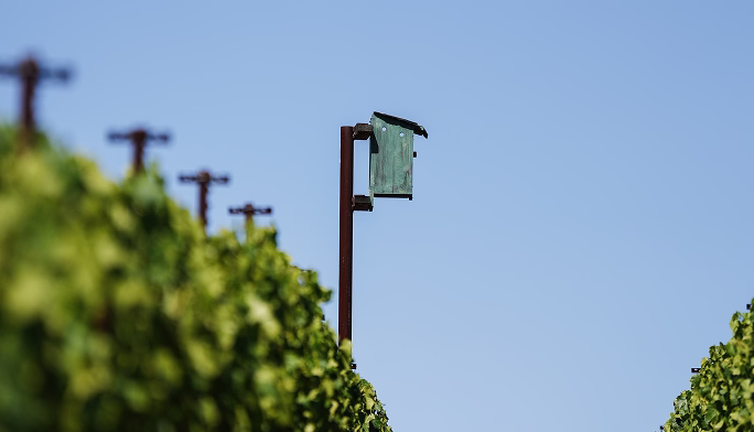 Birds of prey nesting boxes at Ojai Mountain Estate