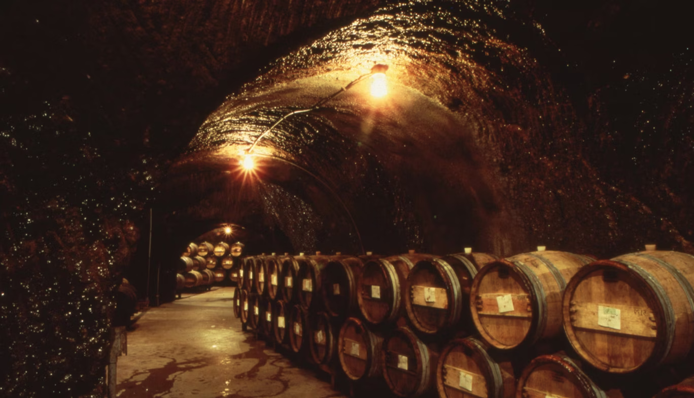 Neutral French oak barrels for aging