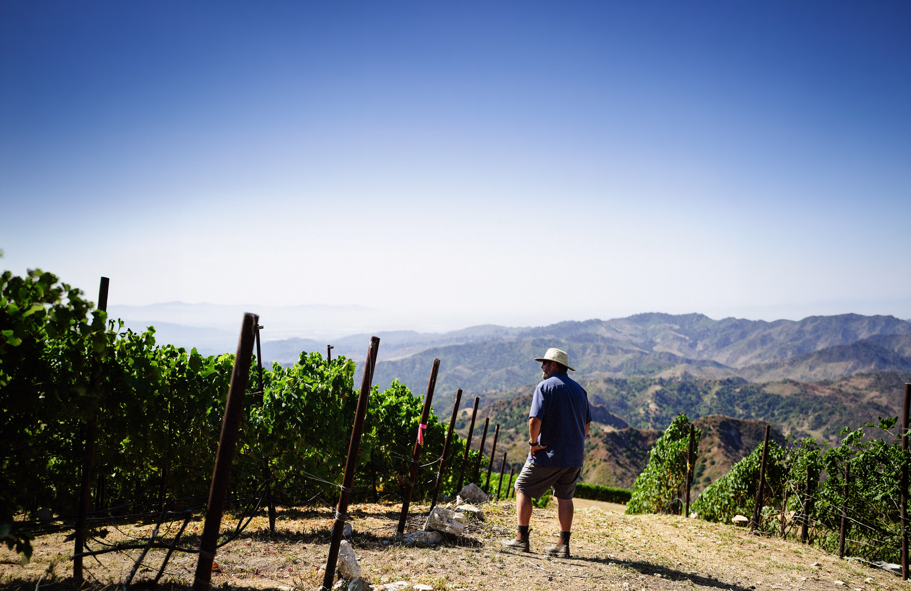 Minimal Intervention, Maximum Expression. — Winemaking